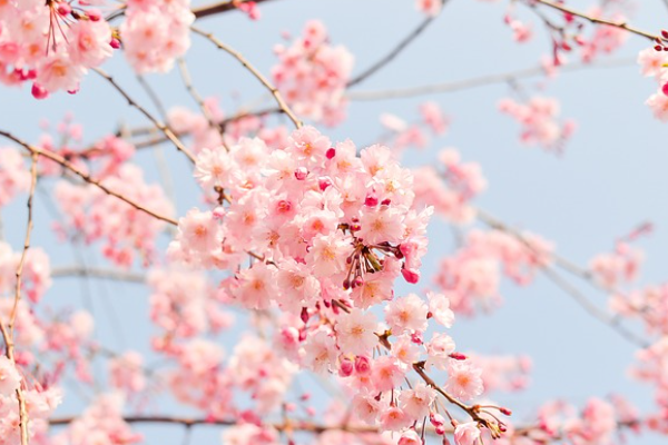 Siyasiler, Nevruz Bayramı dolayısıyla