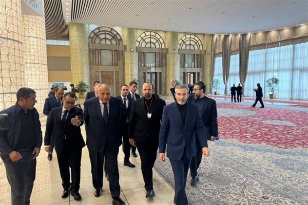 Mısır Dışişleri Bakanı Şukri, Tahran’da
