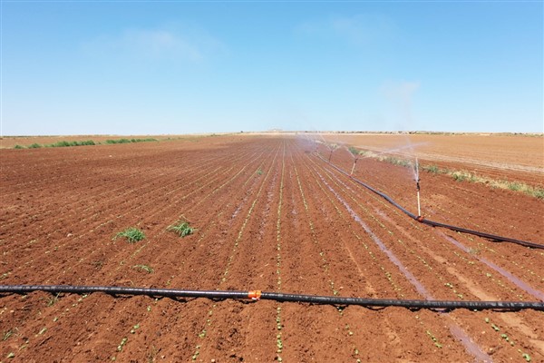 Şanlıurfa’da sulama sezonu devam ediyor