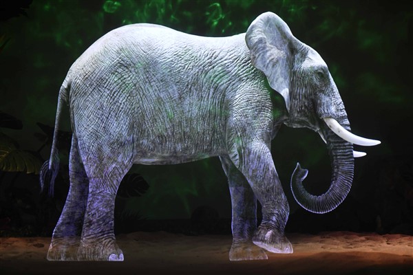 “Ankara Dijital Hayvanat Bahçesi” bayram tatilinde ziyarete açık olacak