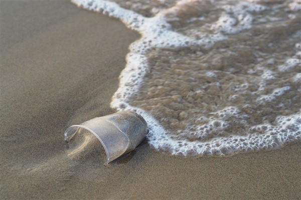 BM: 2050 yılına gelindiğinde okyanuslarda balıktan çok plastik olabilir