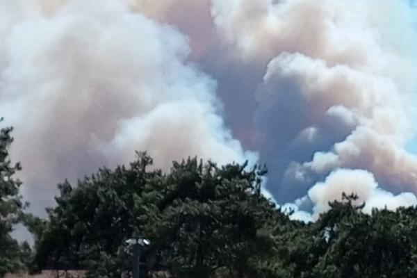 Çanakkale, Adana ve Balıkesir’de