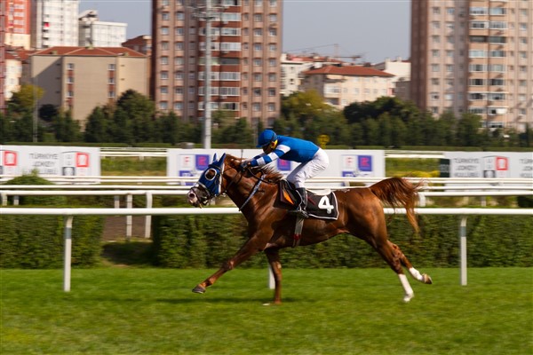 Türk at yarışı sporunun