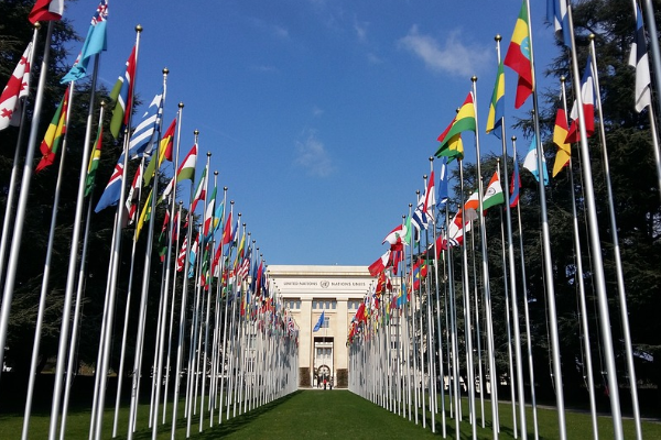 Birleşmiş Milletler (BM), Ukrayna'daki