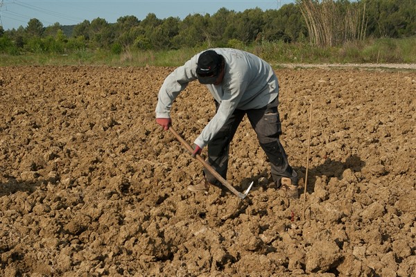 Bakan Yumaklı: Tarımsal Üretim Planlaması, arz-talep dengesizliklerine çözüm olacaktır