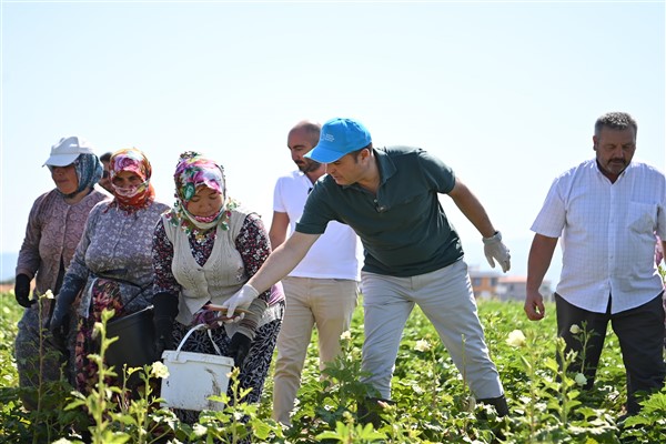 Balıkesir Büyükşehir Belediyesi, Çiftçi Destek Projesi’ni Gömeç’ten başlattı