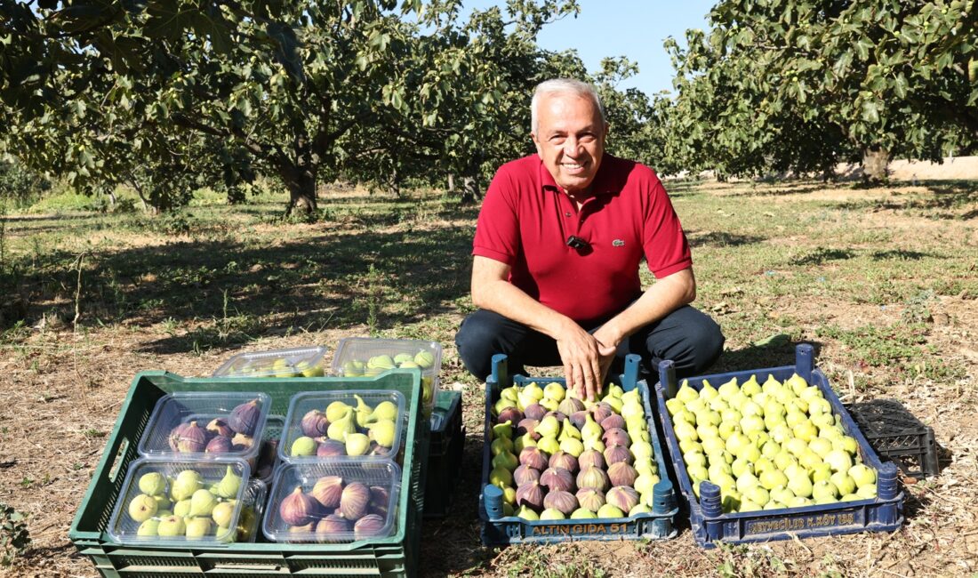 Nilüfer Belediye Başkanı Şadi