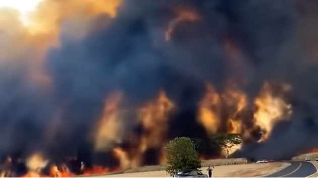 Sao Paulo, 26 Ağustos