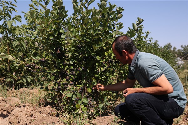 Konya Büyükşehir Belediyesi’nin 31