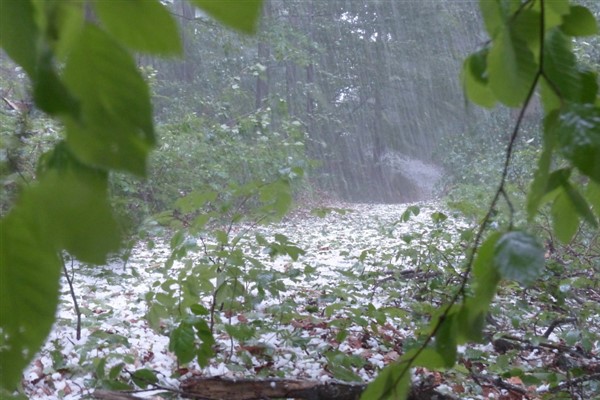 Meteoroloji’den kuvvetli yağış uyarısı