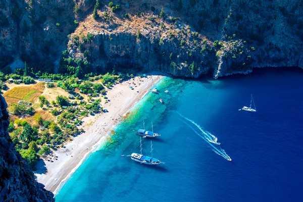 Muğla Büyükşehir Belediyesi, Kelebekler