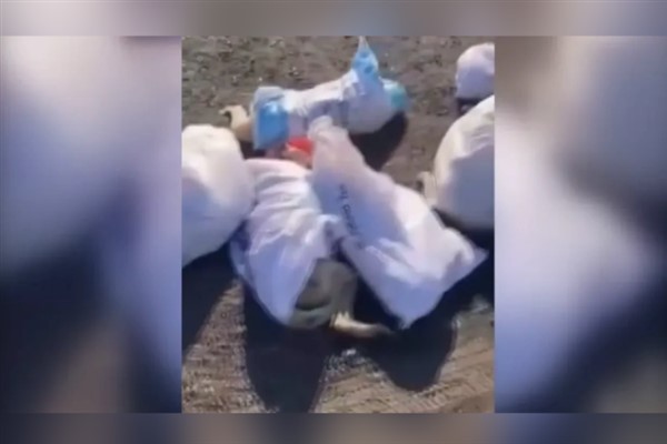 Uzunköprü’de çöplükte ölü köpekler bulundu