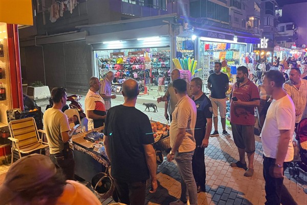 Zabıta ekipleri, Gemlik Kumla sahilinde denetim yaptı