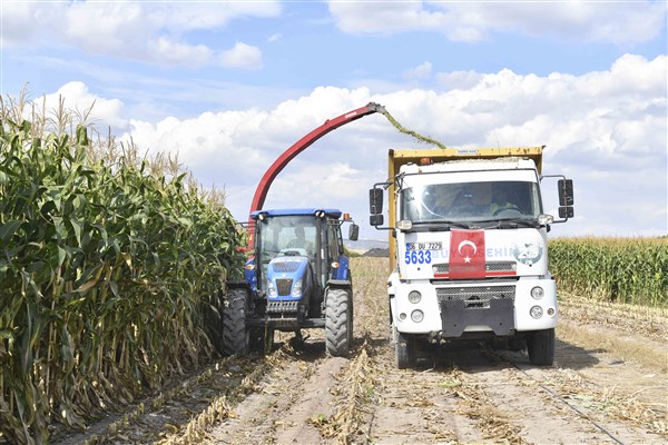 Ankara’da hayvan yetiştiricileri için silajlık mısır hasadı başladı