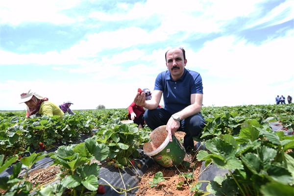 Konya Büyükşehir Belediye Başkanı