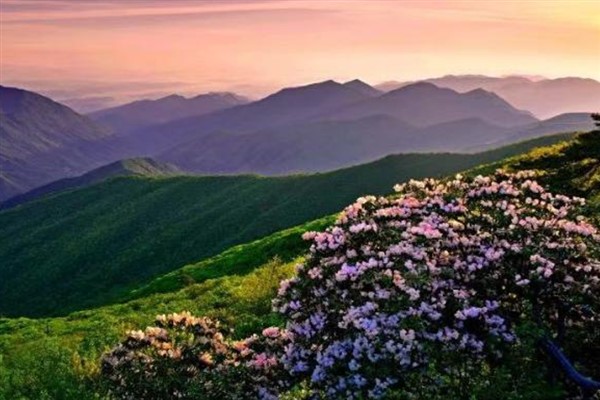 Dağları korumak için yasalar çıkarıldı