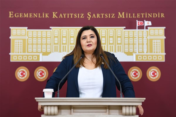 İYİ Partili Hamşıoğlu’ndan “çocuklara yönelik istismar” açıklaması