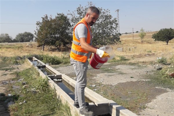 Yenimahalle Belediyesi ilaçlama çalışmalarına devam ediyor