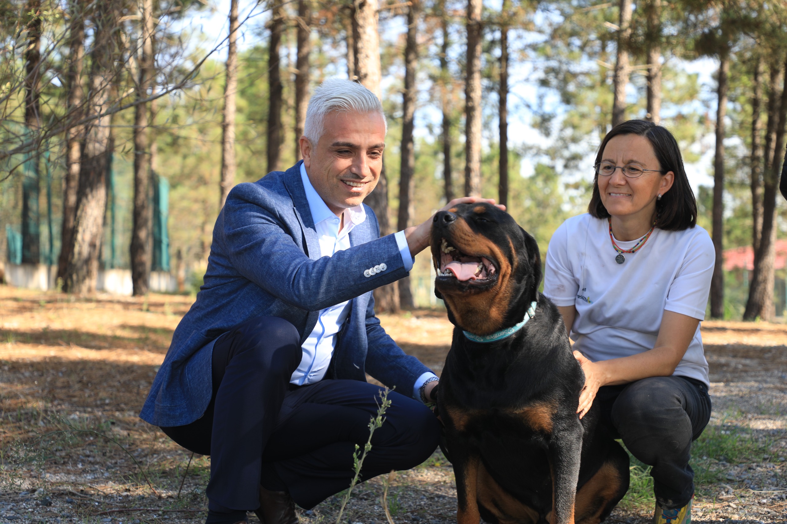 İETT, 4 sokak hayvanını sahiplendi