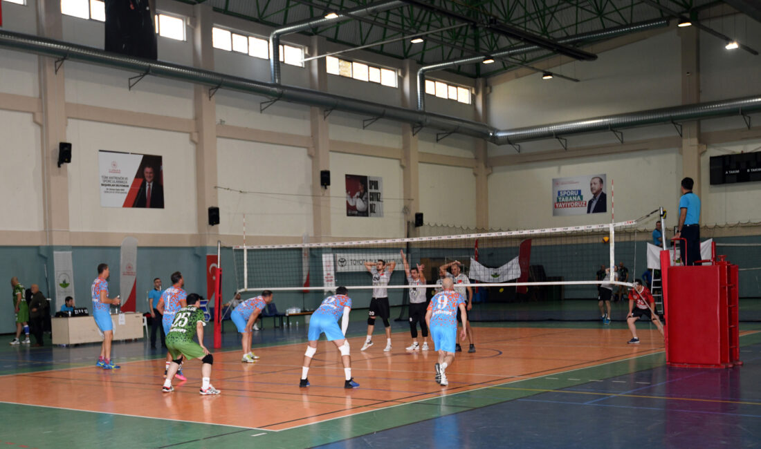 Osmangazi Belediyesi, Türkiye Voleybol